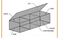 WhatsApp Image 2025-06-25 at 12.20.45 PM