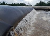 WhatsApp Image 2025-06-25 at 12.21.59 PM