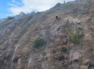 WhatsApp Image 2025-06-25 at 12.23.15 PM